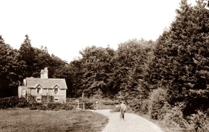 Buchan Hill Lodge in 1920. The drive leads on to the house. Behind the camera a turning on the left leads to Shelley Farm, credit..