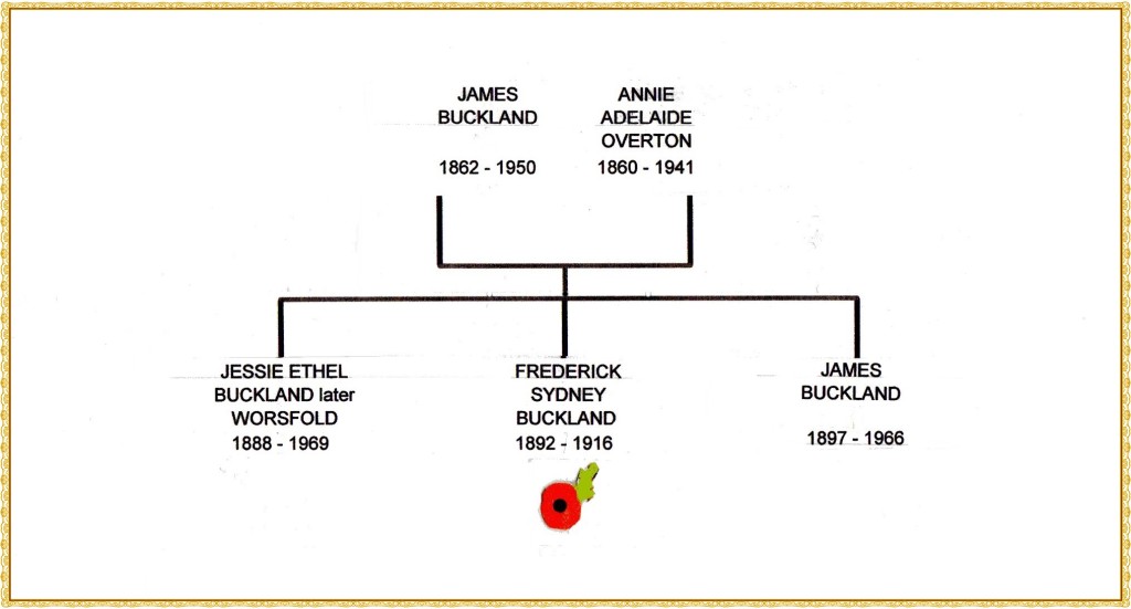 Buckland family tree092 edited AND FRAME nO 2