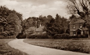 The farthest house is West Cottage on the ... Road, where the Bradleys lived from 1911, from the collection of Alison Newton (check wording) Friths