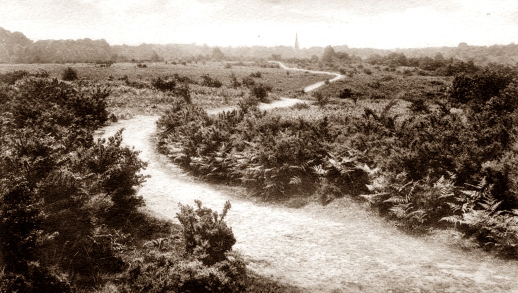 istant St Barnabas in 1915 across the Common, Friths, from the postcard collection 