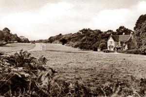 anmore Post Office, Stores and Tea Room in 1932, Friths (cross 