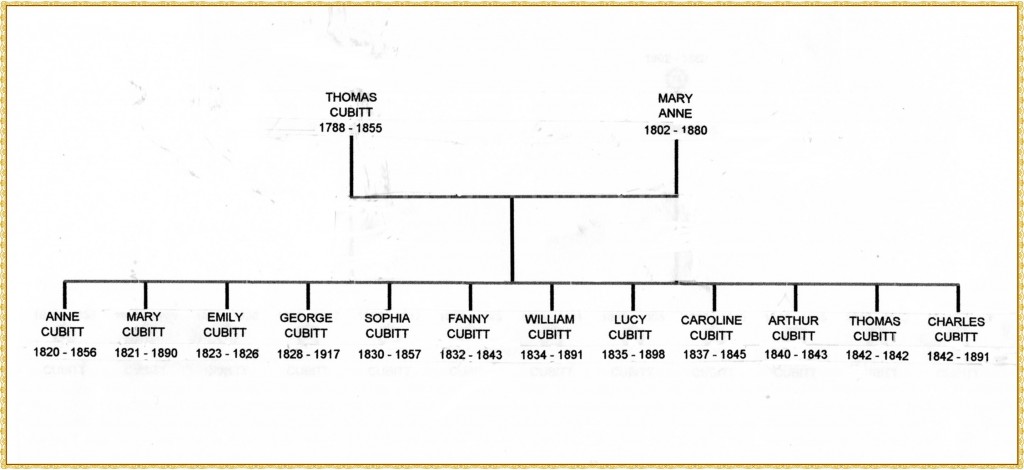 Thomas Cubitt tree framed