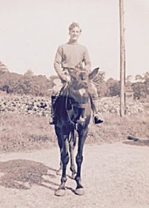 Ken on horse outside Friston FullSizeRenderhorse1 cropped