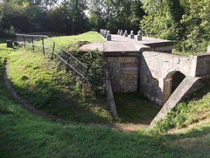 A recent photograph of Box Hill Fort (Geograph, copyright Martyn Davies)