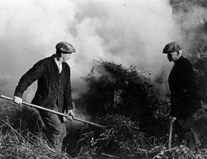 George Royal and Fred Hodginson burning scrub in Hogden Lane