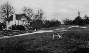 Ranmore Post Office in 1922, with the fork by Snookes Hatch in the right background, and the distant spire of St Barnabas Church (Friths, from the postcard collection of Alison