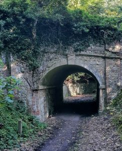 Tunnel under Ranmore Road (John Tacon)